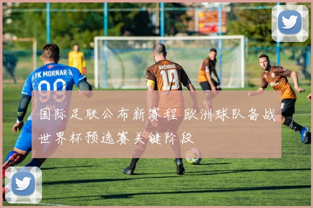 国际足联公布新赛程 欧洲球队备战世界杯预选赛关键阶段
