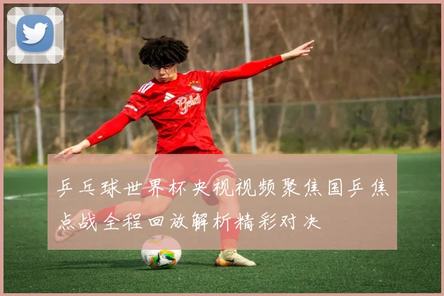 乒乓球世界杯央视视频聚焦国乒焦点战全程回放解析精彩对决