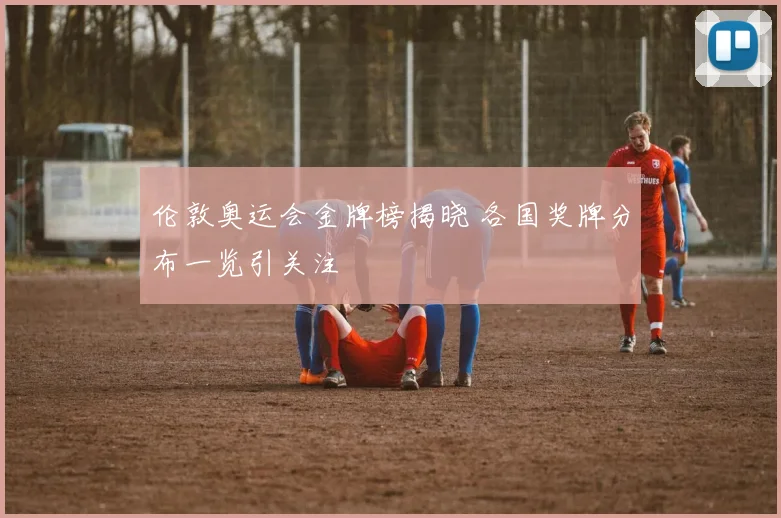 伦敦奥运会金牌榜揭晓 各国奖牌分布一览引关注