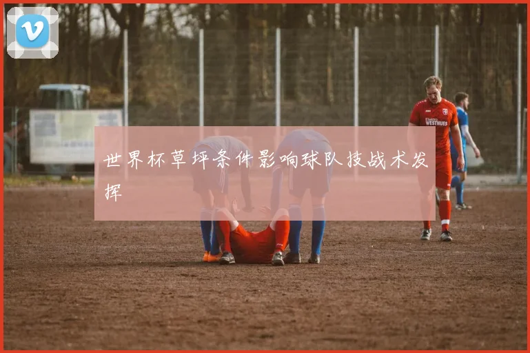 世界杯草坪条件影响球队技战术发挥